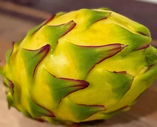 Asunta 5 Patricia Dragon Fruit | Tasty Dragons
